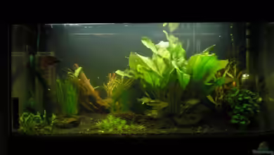 Becken 5997 von Mario Lange