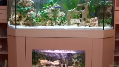 Becken 6024 von Malawi Freak