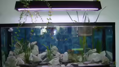 Becken 6134 von Denis Ulrich