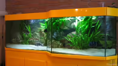 Becken 6178 von Michaela Krause