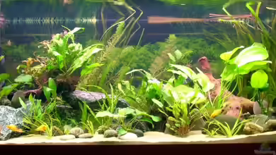 Becken 6221 von Michael Paulisch