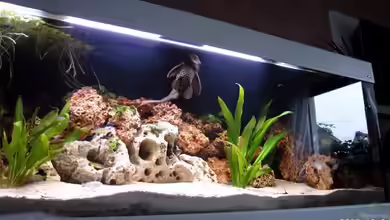 Becken 6289 von Sebastian Schüler