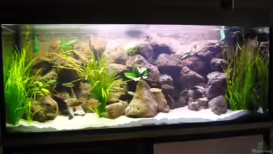 Becken 6314 von Stefan Lorenz