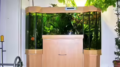 Becken 6357 von Werner Buntin