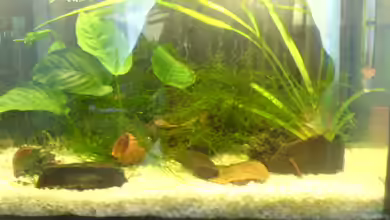 Becken 6397 von Andreas Kraft