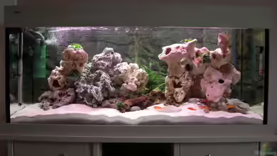 Becken 6406 von Jürgen Langer