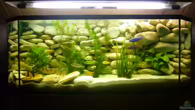 Becken 6445 von Holger Müller