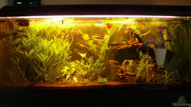 Becken 6449 von Ralf Schmitz