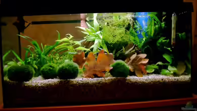 Becken 6574 von Matthias Schober