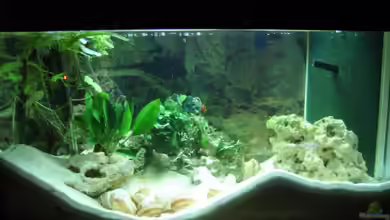 Becken 6630 von farmerin