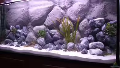 Becken 6641 von breakfastklubber