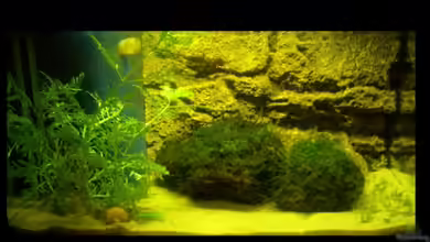 Becken 6644 von Hauke Schwarz