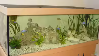 Becken 665 von Gerhard Unruh