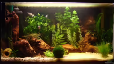 Becken 6766 von Sandra Stoffels