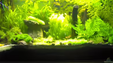 Becken 6855 von Sven Dilewski