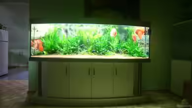 Becken 6860 von Gerd Gerok