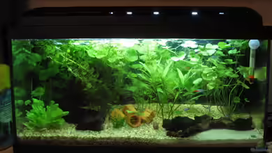 Becken 6933 von Doris77