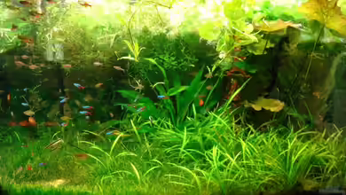 Becken 6971 von Udo März