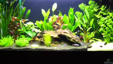 Becken 7048 von -Marcel-