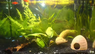 Becken 706 von Christian Quint