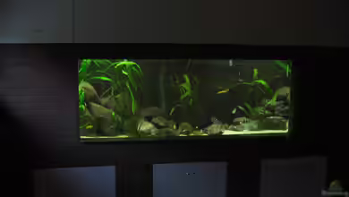 Becken 716 von Jürn Klevenow