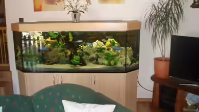 Becken 7162 von PRHilden