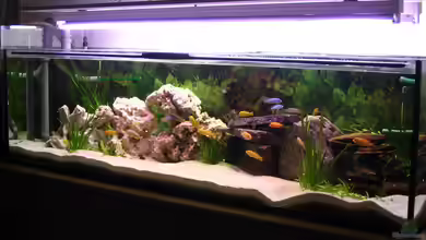 Becken 723 von Volker Eggert