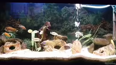 Becken 73 von David Maitschke