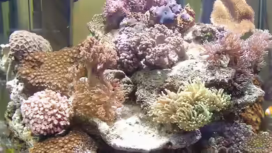 Becken 735 von Tim Andresen