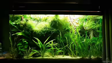 Becken 7355 von Sebastian W.