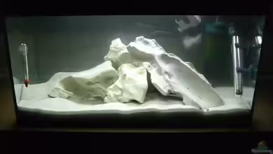 Becken 7360 von Stefan Großmann