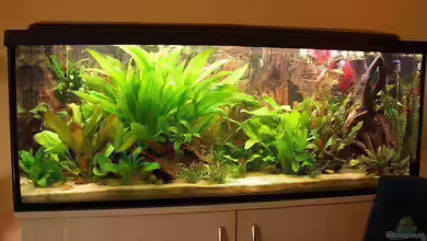 Becken 741 von Jan Kersten