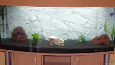 Becken 7411 von Marcel