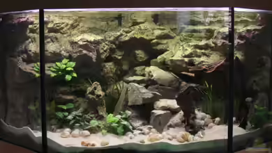 Becken 7495 von photizo