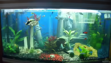 Becken 7511 von Patrik Holz