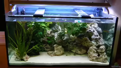 Becken 7555 von kittim