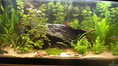 Becken 7566 von Matthias Reiff