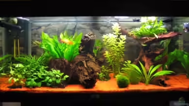 Becken 7602 von Daniel Werner