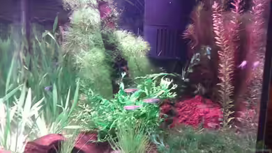 Becken 7663 von Dennis24HB