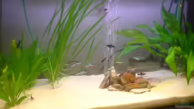 Becken 7767 von K.one.S