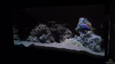 Becken 777 von Jan-Eric Hambuechen