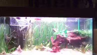 Becken 7794 von Dennis24HB