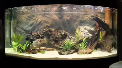 Becken 7827 von chris und nina