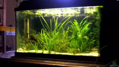 Becken 7857 von Robert Müller