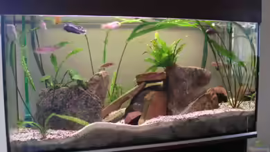 Becken 7911 von Wolfgang Härth