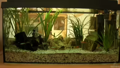 Becken 7931 von steini76