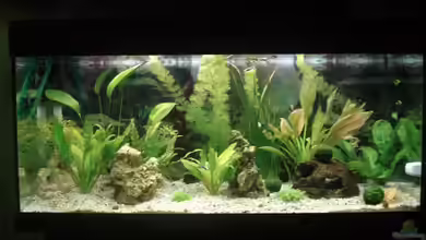 Becken 7956 von Klaus Pempelfort