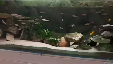 Becken 798 von Yigit Nur