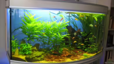 Becken 8001 von StefanR