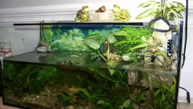 Becken 8049 von Nicky